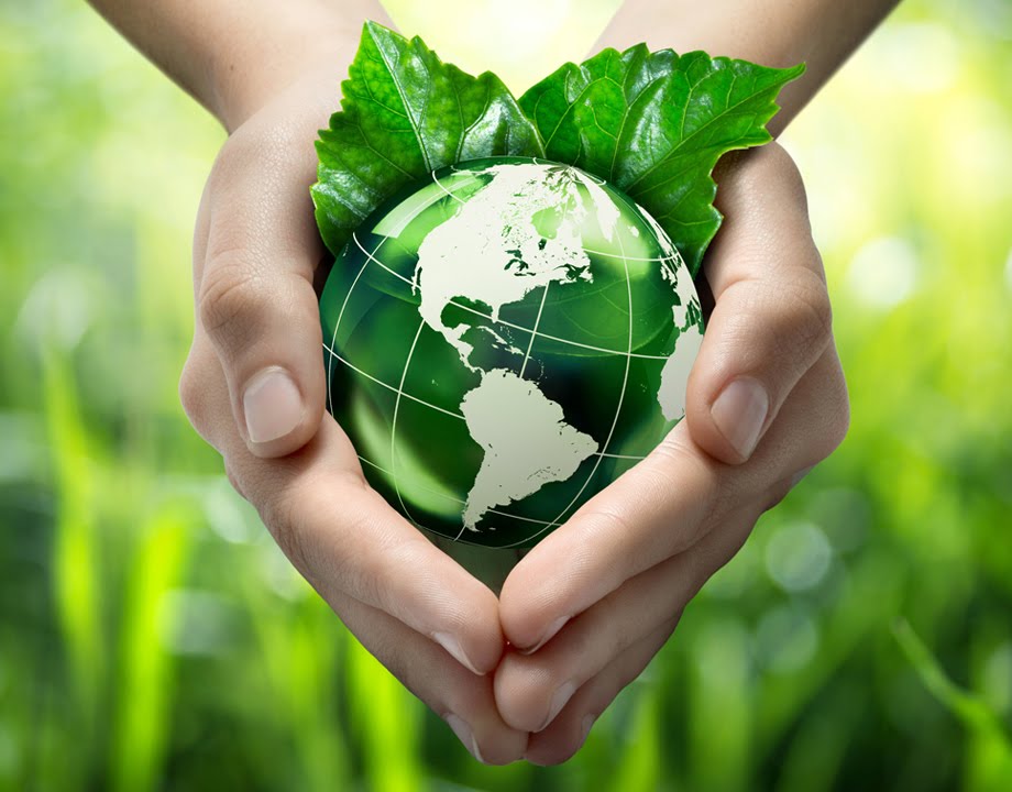 Dia Mundial do Meio Ambiente 2021: a necessidade e a urgência da